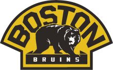 Boston Bruins Logo: A Symbol of Pride and Passion