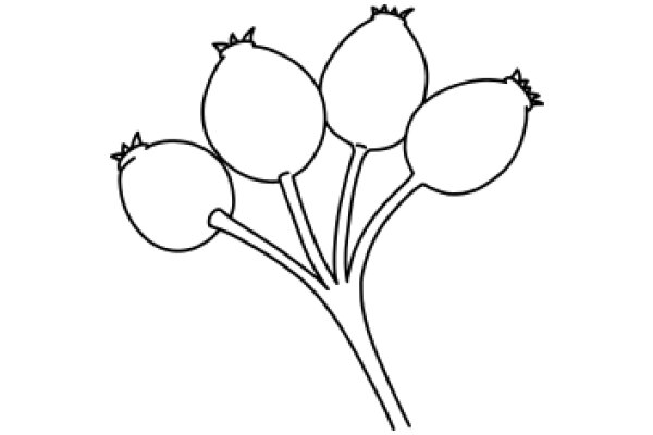 A Simple Line Drawing of a Bunch of Onions