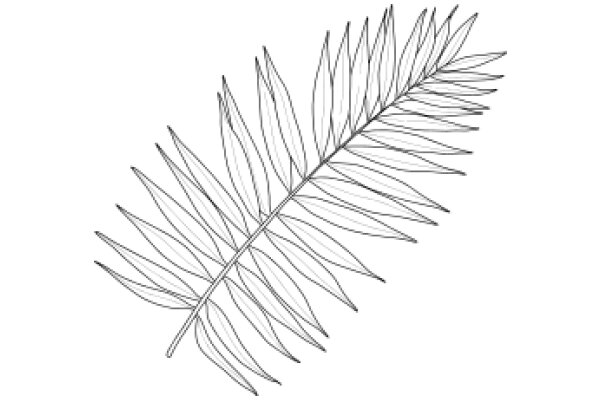 Stylized Line Drawing of a Fern Leaf