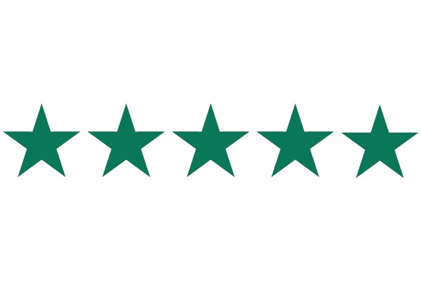 Simplicity in Design: A Five-Star Logo