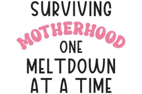 Surviving Motherhood: One Meltdown at a Time