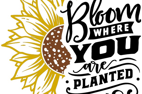 Flowery Affirmation: Bloom Where You Are Planted