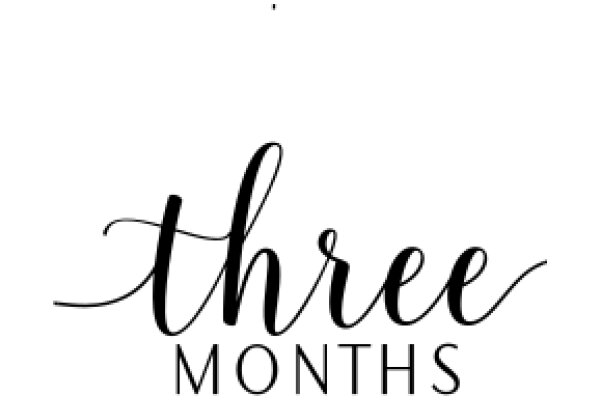 Three Months: A Journey of Growth and Transformation