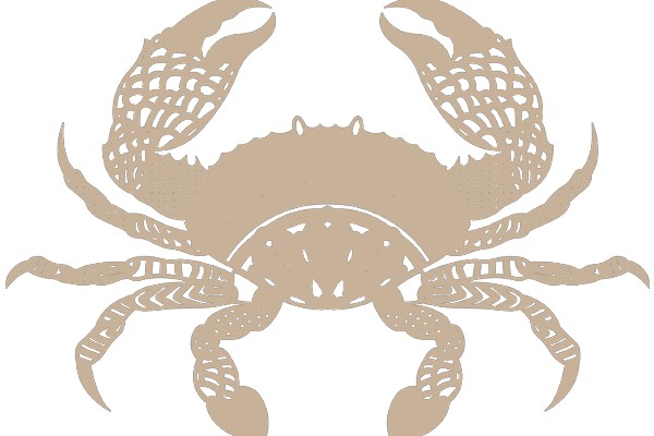 Stylized Lobster Silhouette