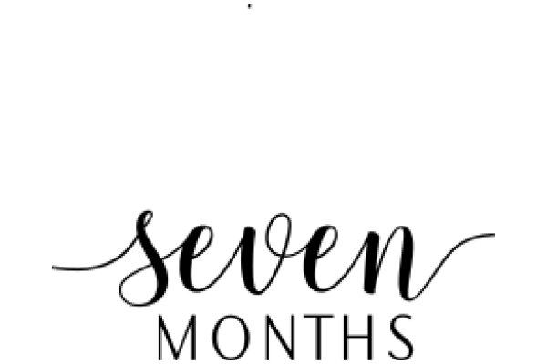 Seven Months: A Visual Timeline