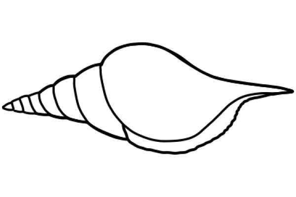 Simplistic Line Drawing of a Seashell