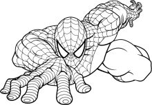 Spider-Man: The Black and White Line Drawing