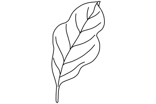 Simplistic Line Drawing of a Leaf