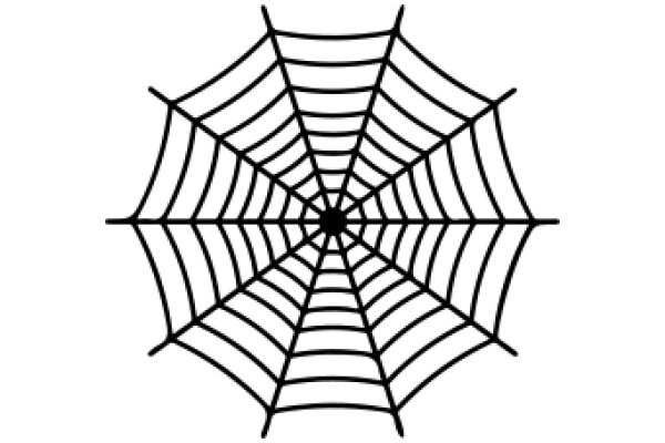 Spider Web Design