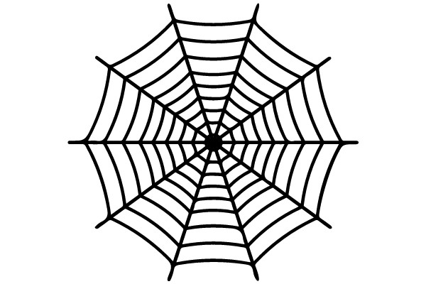 Spider Web Design