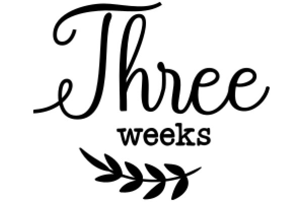 Three Weeks: A Graphic Design Showcase