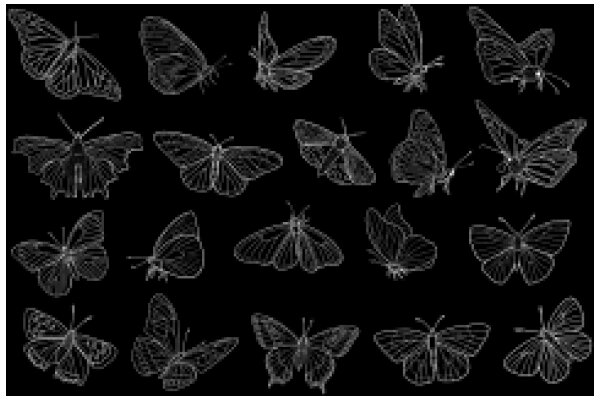 A Collection of Stylized Butterfly Designs