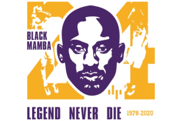 Black Mamba: Legend Never Die - 1978-2020