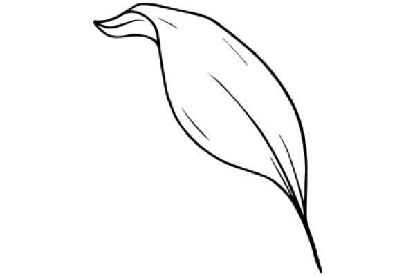 Simplistic Line Drawing of a Flower