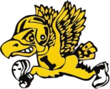 A Yellow Eagle Logo