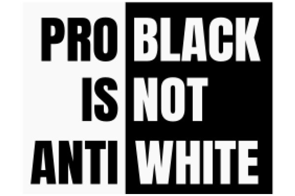 Protest Sign: 'Pro Black Is Not Anti White'