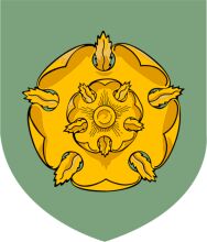 Vivid Illustration of a Shield with a Lion's Head at Its Center