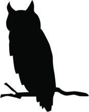 Silhouette of an Owl Perched on a Branch