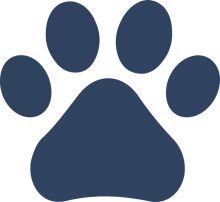 A Digital Pawprint: The Intersection of AI and Animal Imagery