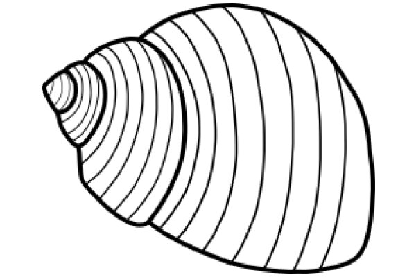 Stylized Line Drawing of a Snail Shell