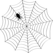 A Spider's Web: An Illustration of Nature's Artistry