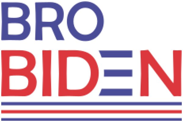 Biden Campaign Logo