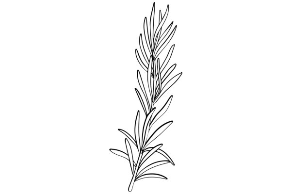 A Simple Line Drawing of a Plant