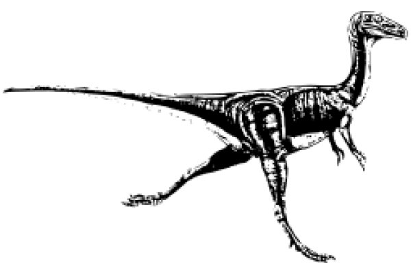 A Classic Illustration of a Velociraptor