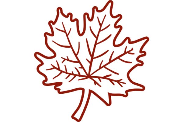 A Red Maple Leaf on a White Background