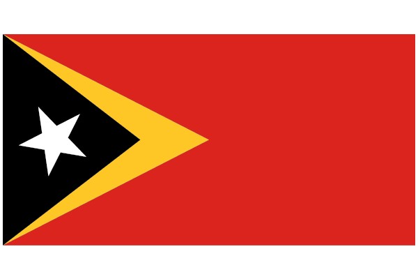 Vibrant Red and Yellow Flag with a White Star