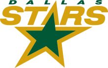 Dallas Stars: A Symbol of Pride and Passion