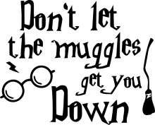 A Witty Reminder to Keep the Muggles at Bay