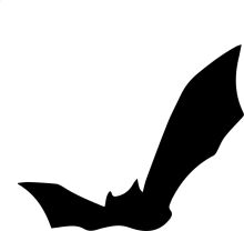 Silhouette of a Bat in Flight