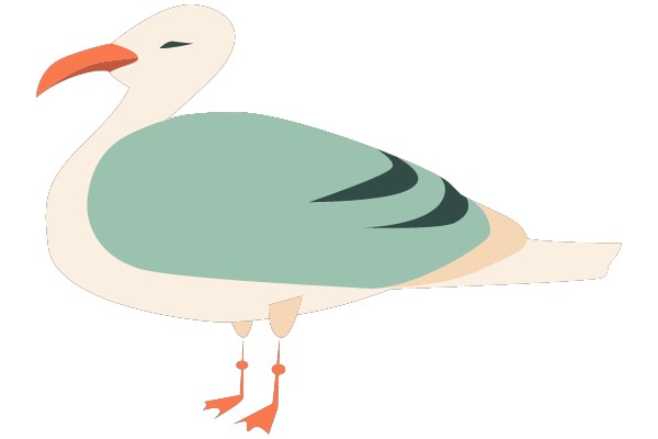 A Friendly Illustration of a Bird with Orange Feet