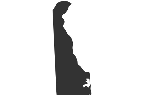 Silhouette of a State: A Graphic Representation of a State's Geography