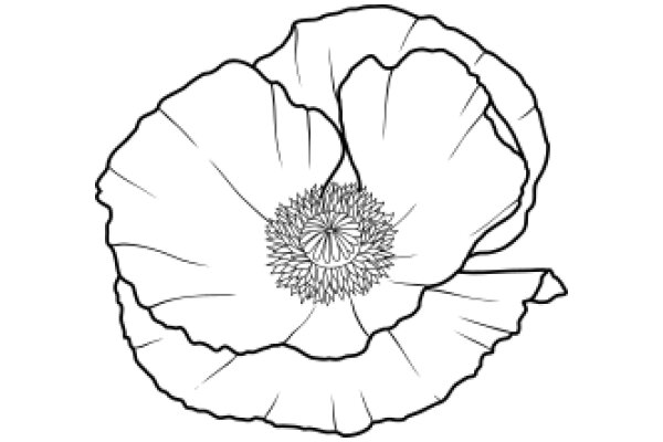 A Line Drawing of a Flower with a Detailed Petal and Center