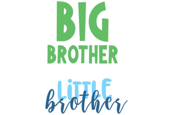 Big Brother: A Little Brother's Perspective