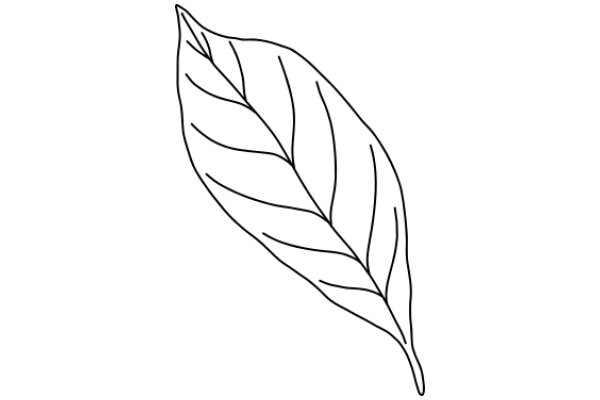 Simplistic Line Drawing of a Leaf