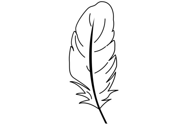 Stylized Line Drawing of a Feather