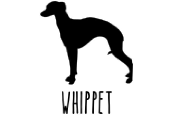 Whippet: A Silhouette of a Sleek and Agile Dog Breed