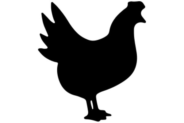 Silhouette of a Rooster