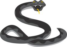 An Illustration of a Snake with a Tongue, Coiled on a White Background