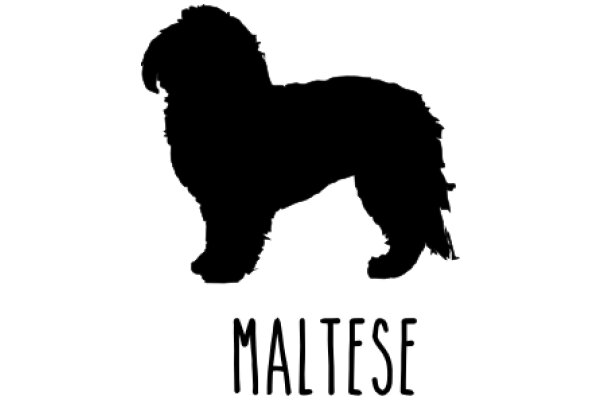 Maltese Dog Silhouette