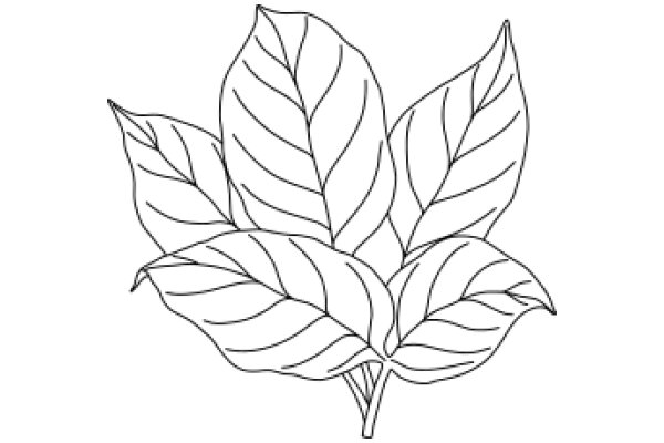 Simplistic Line Drawing of a Leafy Plant