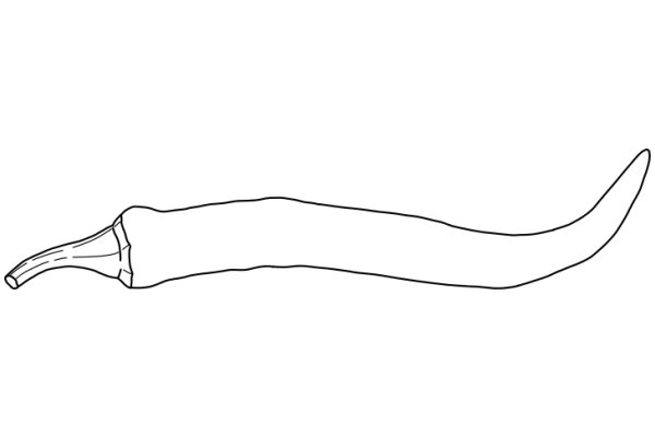 Simplistic Line Drawing of a Banana