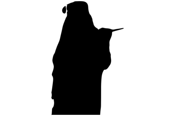 Silhouette of a Person with a Hat