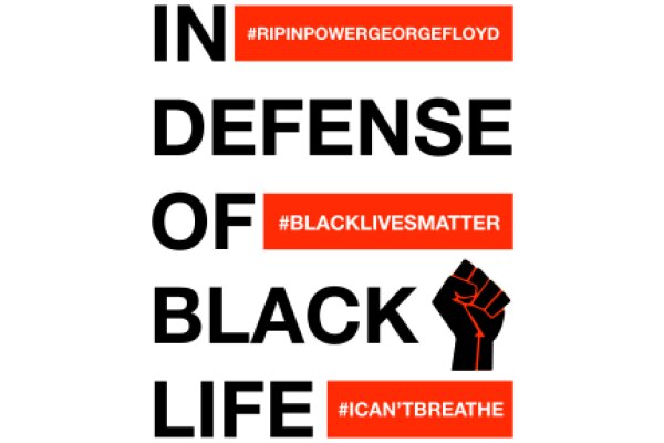 A Powerful Statement on Racial Inequality and the Black Lives Matter Movement