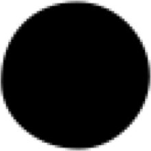 A Solid Black Circle on a White Background