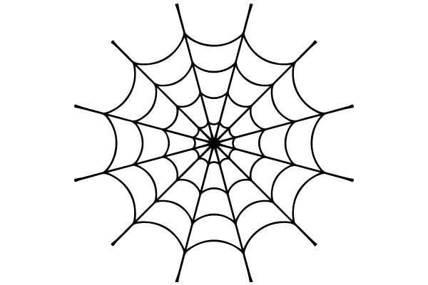 The Art of Spider Webs: A Illustration