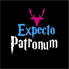 Expecto Patronum: A Journey Through the World of Harry Potter